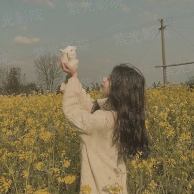 魅骨生香：妖孽王爷请接招
