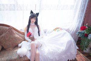 医师们的恋爱情事