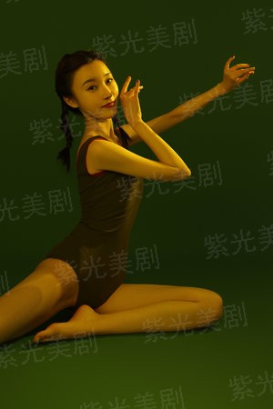 从骑士到国王